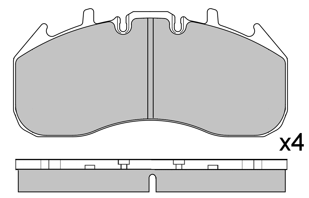 KY31555
