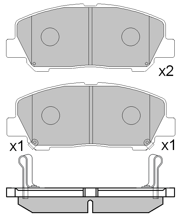 KY31619